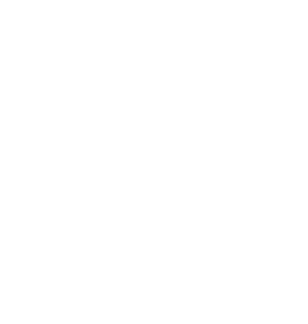 NATIVE CLIENT DEVELOPMENT (CAA/EKL/VBA/VB.NET)